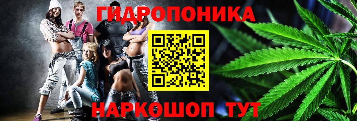 Мурино  Шишки марихуана конопля  МАРИХУАНА тримм  Вход с VPN  Канабис LSD WEED  Марихуана тримм 